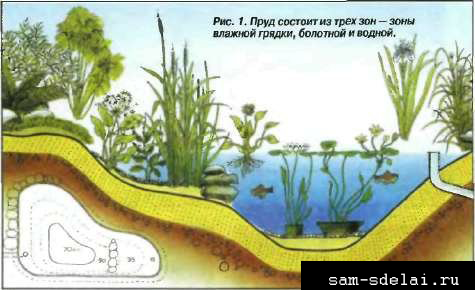 Пруд своими руками