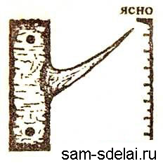 Самодельный барометр из ели в лесу Самодельный барометр из ели в лесу